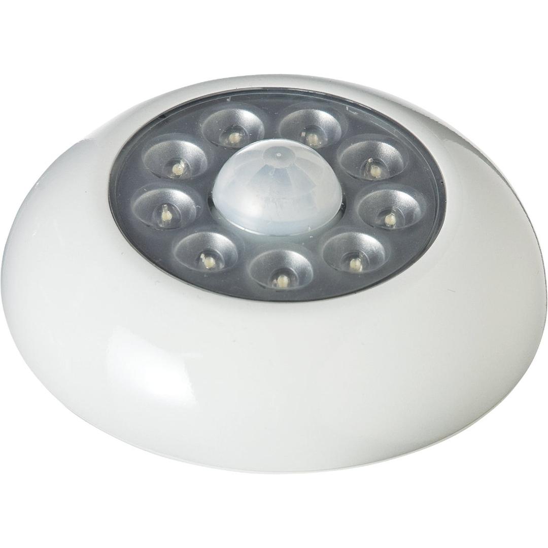 Product 500499