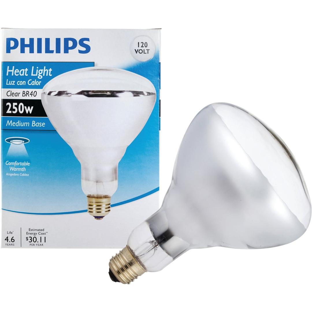 Product 501842