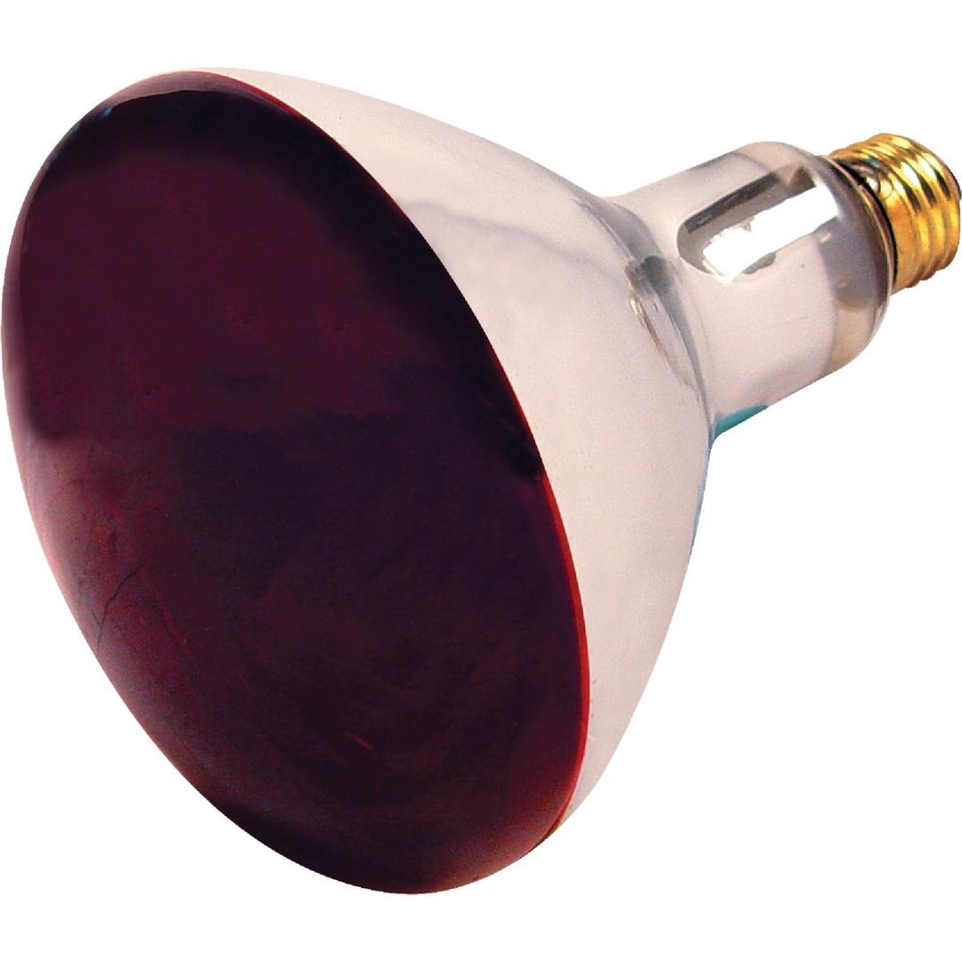 Product 501900