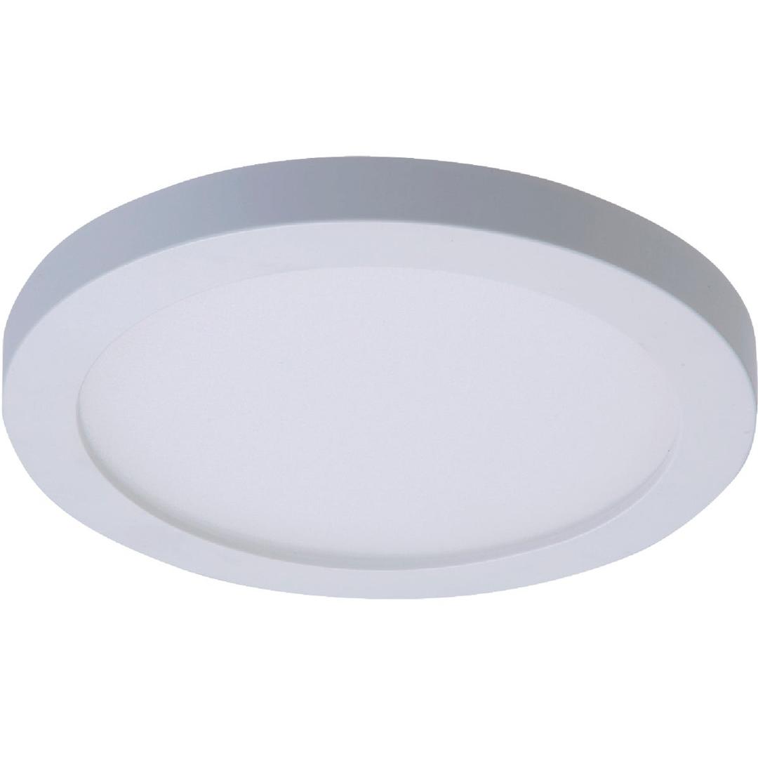 Product 502431