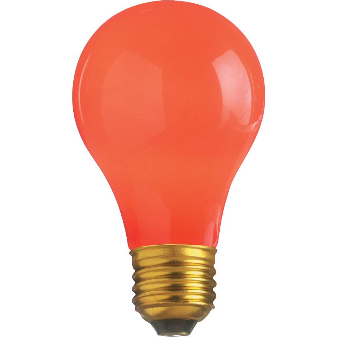 Product 502904