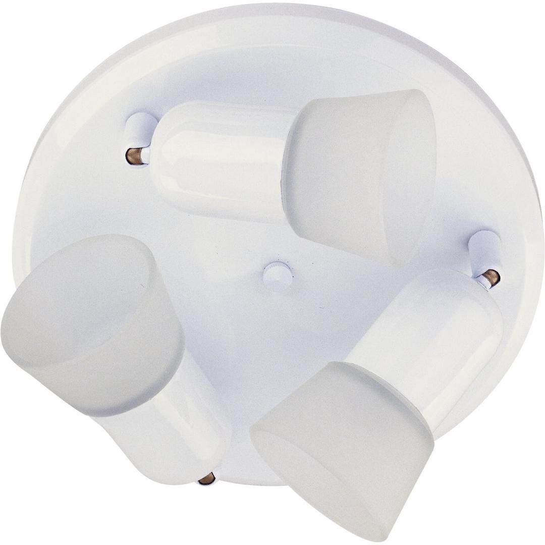 Product 503388