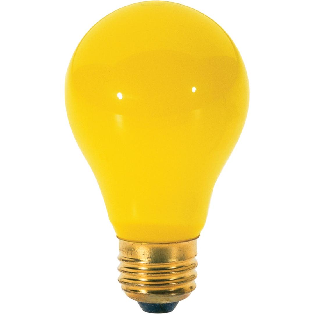 Product 504822