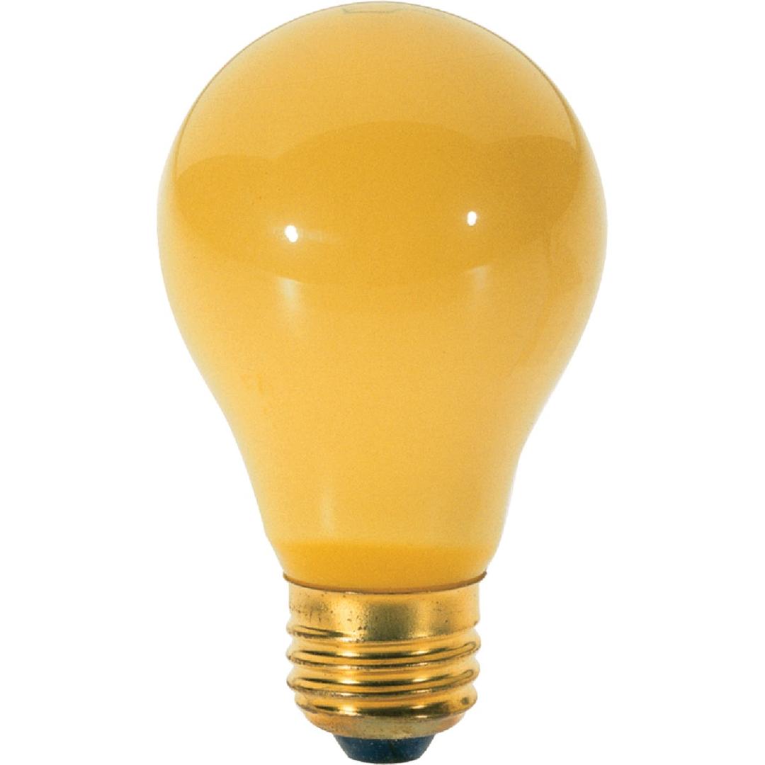 Product 504831