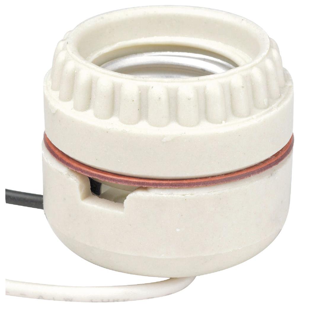 Product 505250