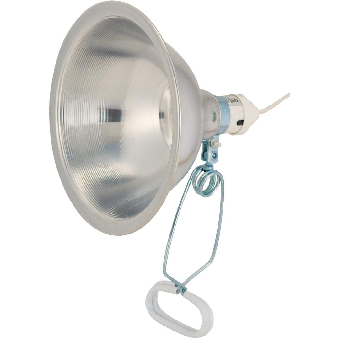 Product 508221