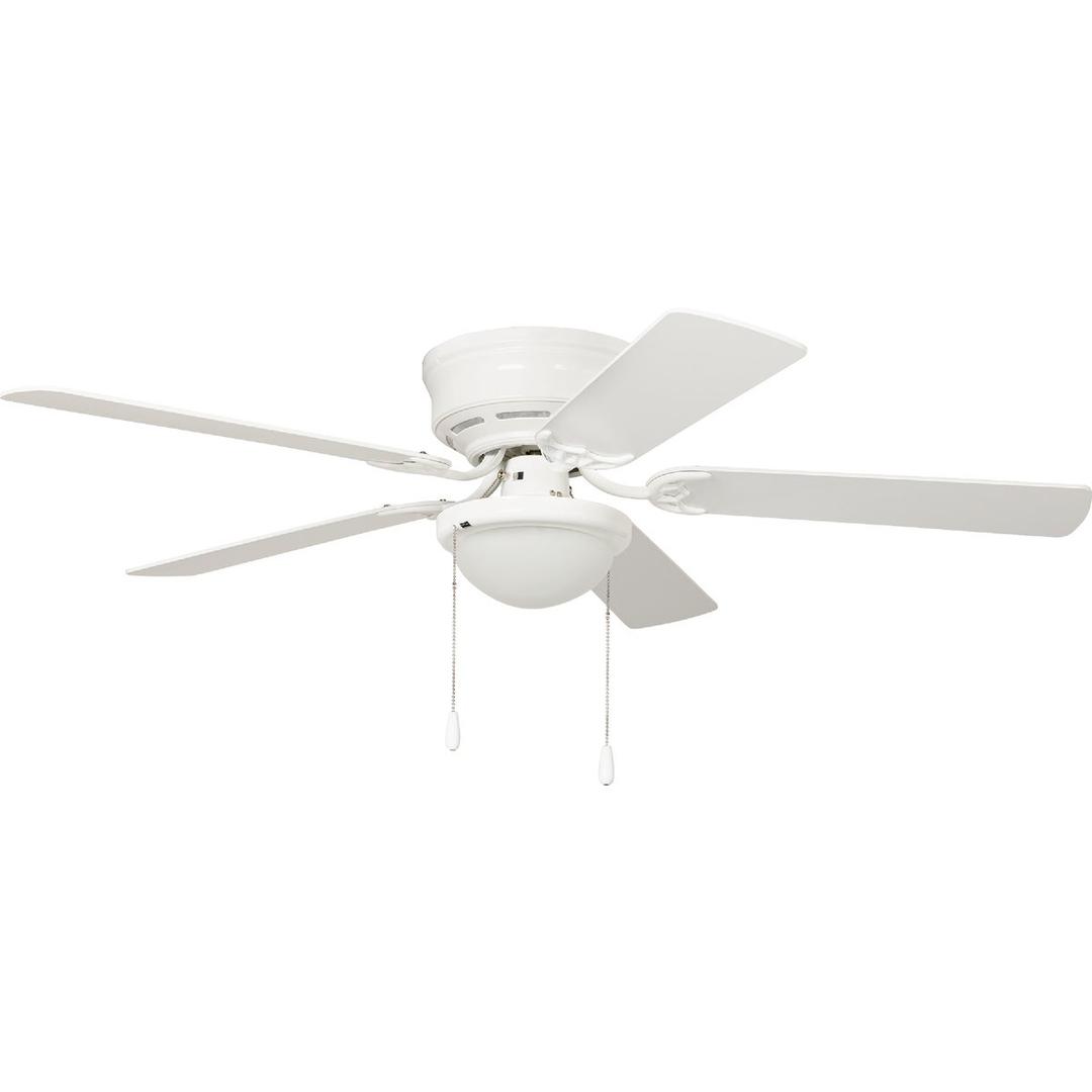 Product 508233
