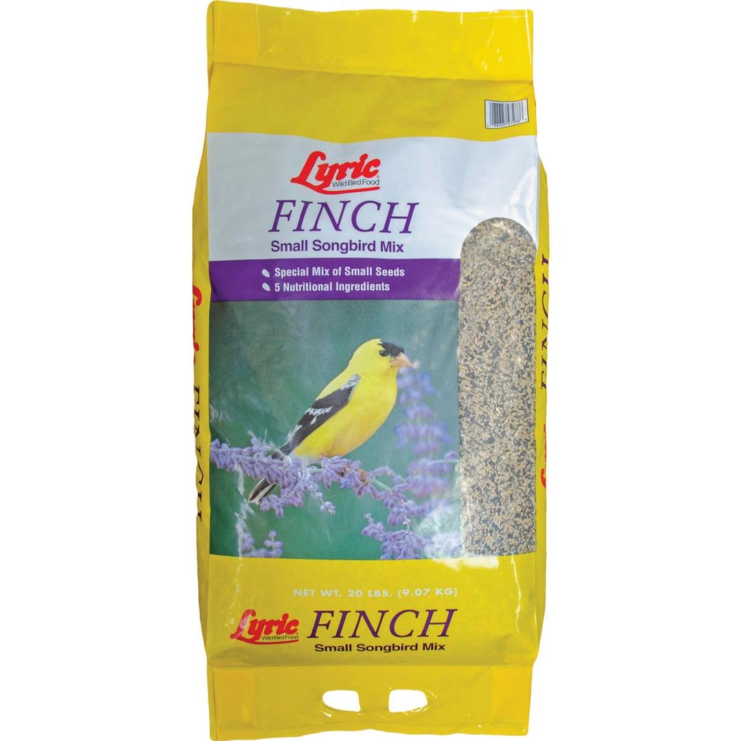 Product 701854