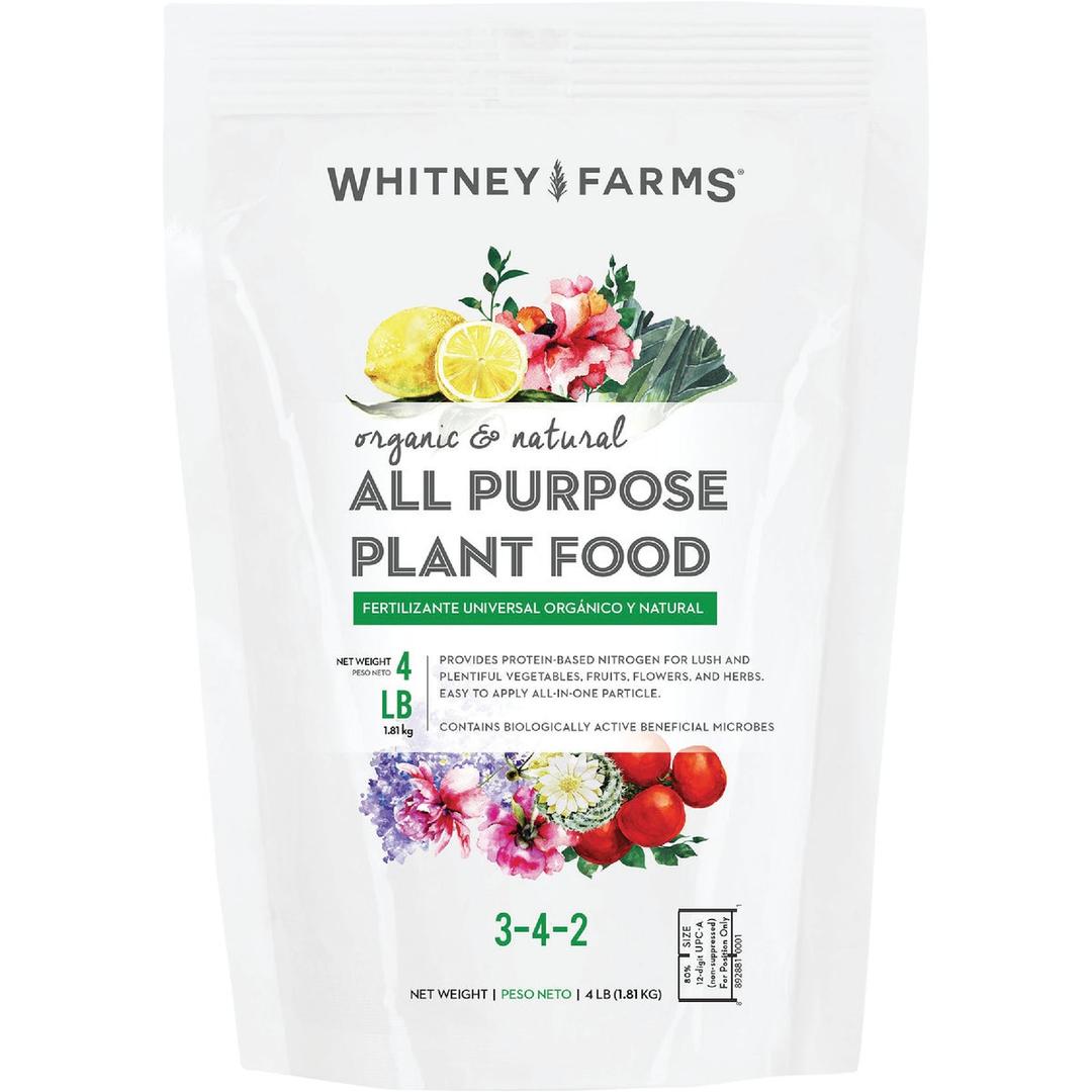 Product 701904