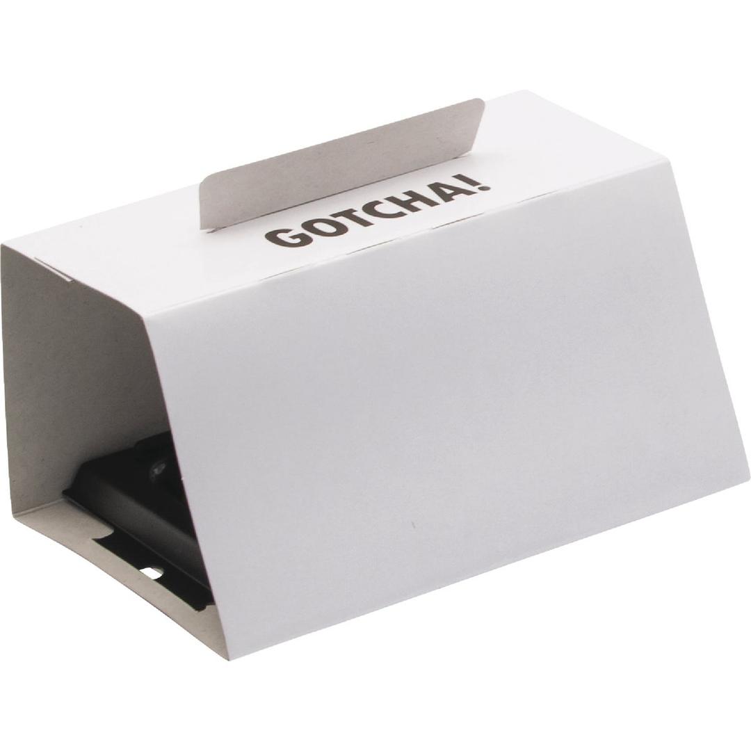 Product 702416