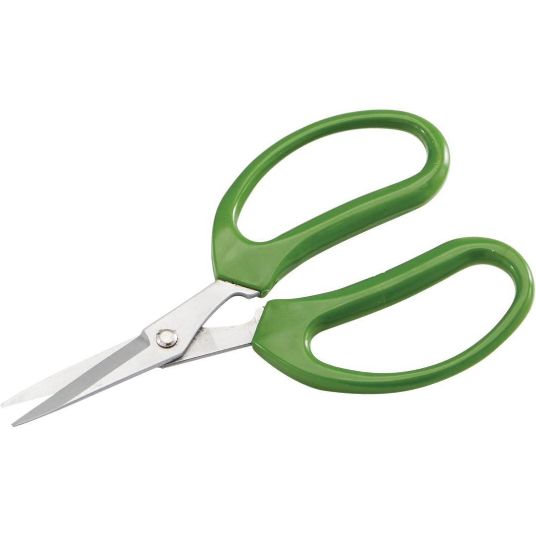 Product 703838