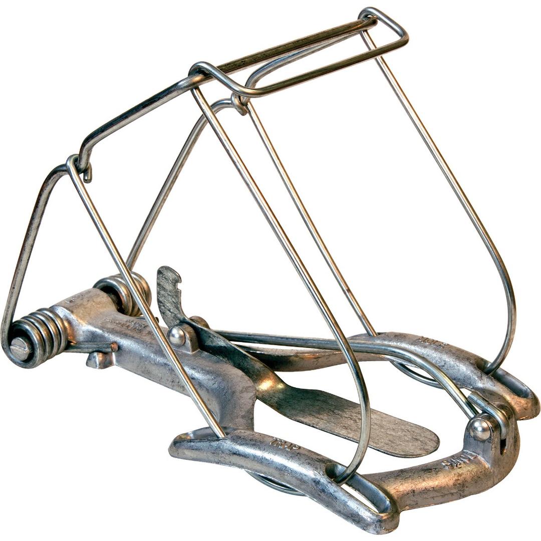 Product 704164
