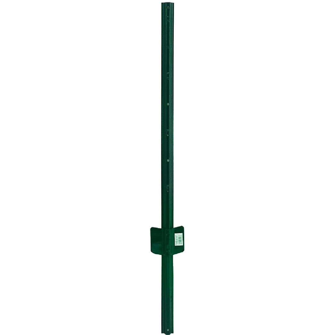 Product 704404