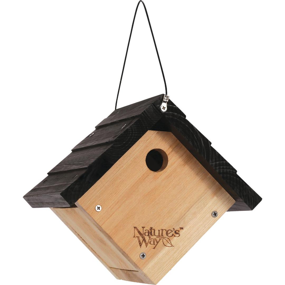Product 704646