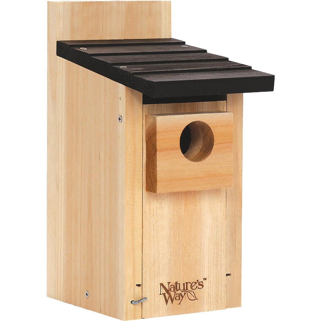 Product 704654