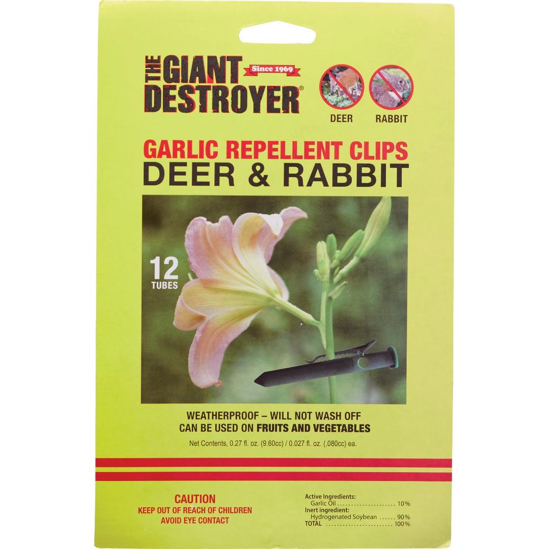 Product 704755