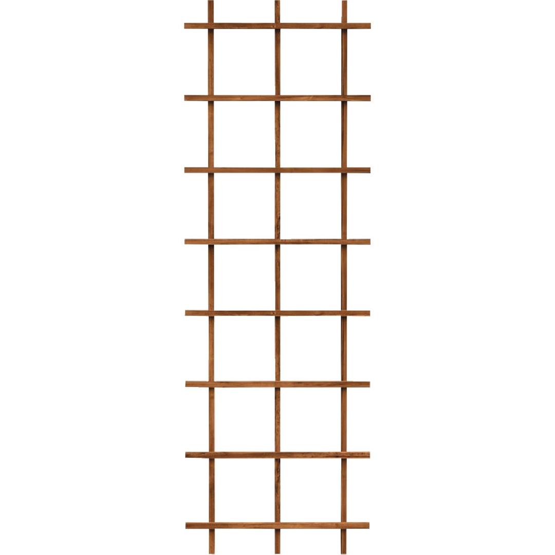Product 705815