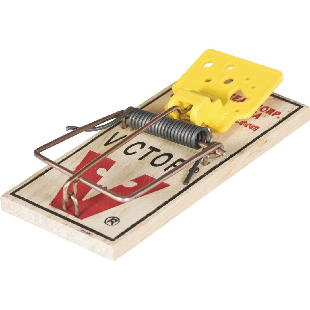 Product 706418