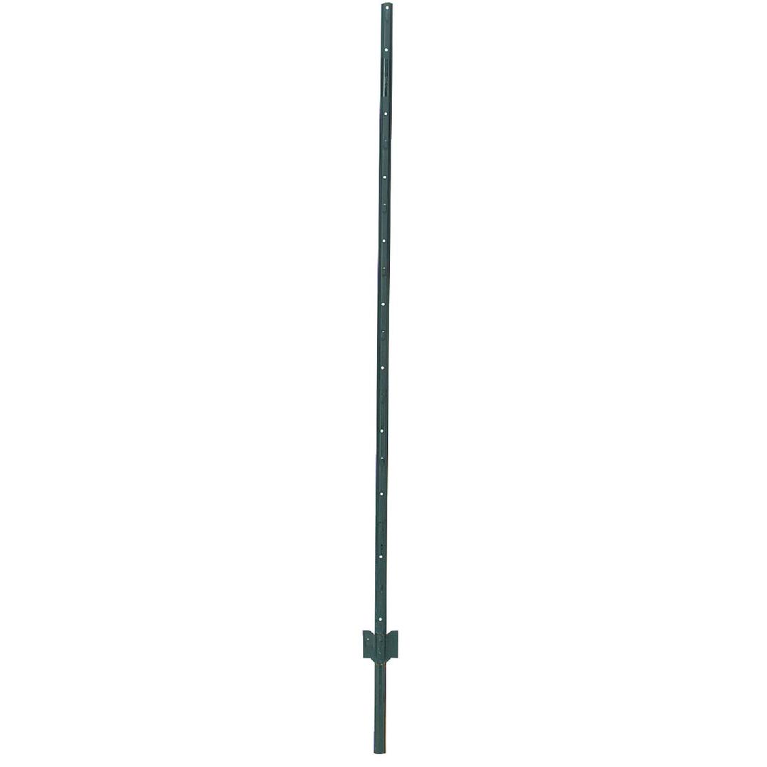 Product 712465