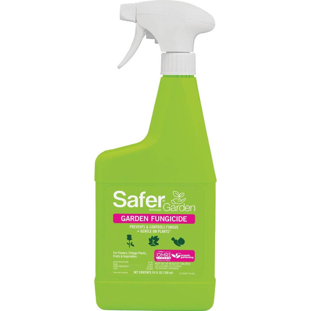 Product 729345