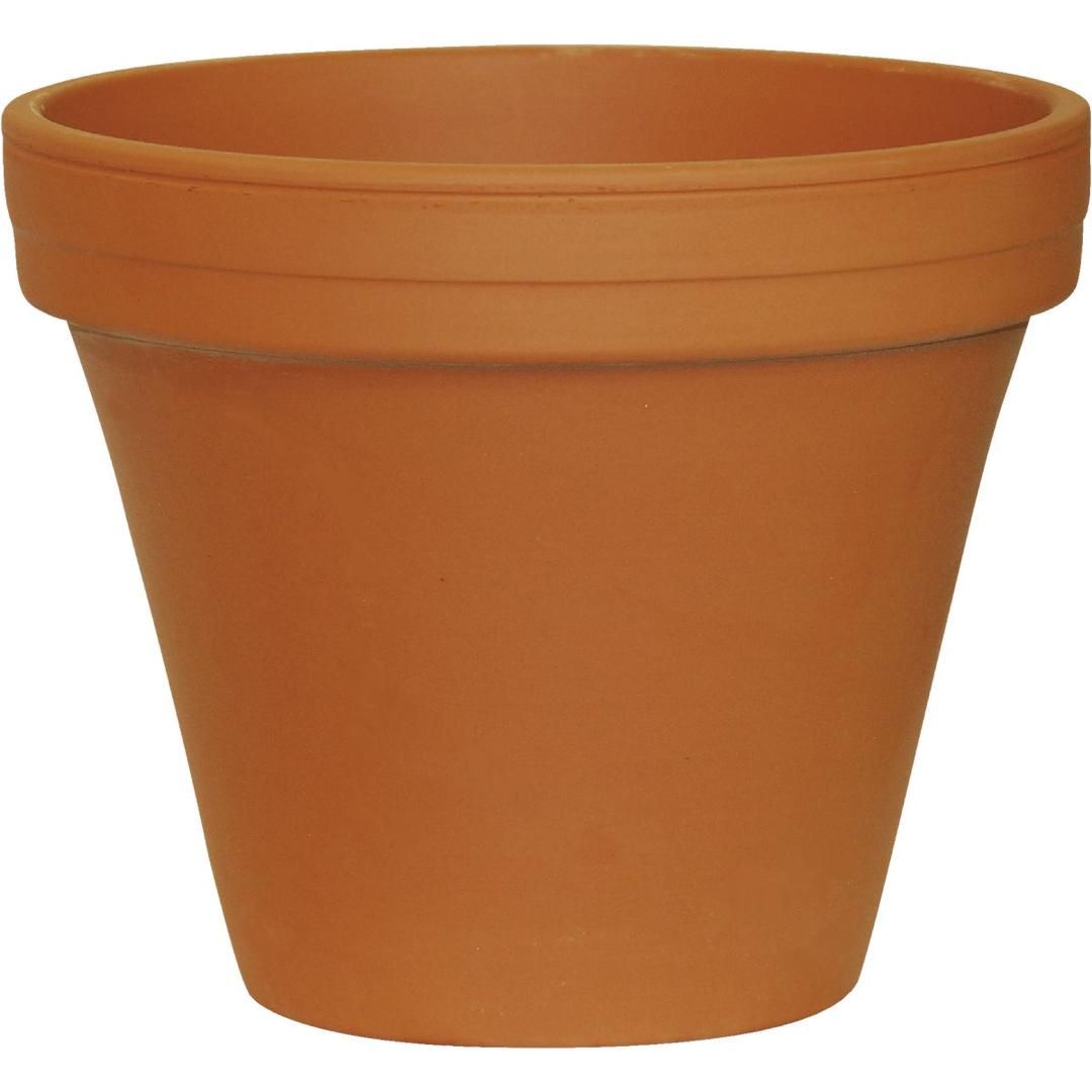 Product 746866