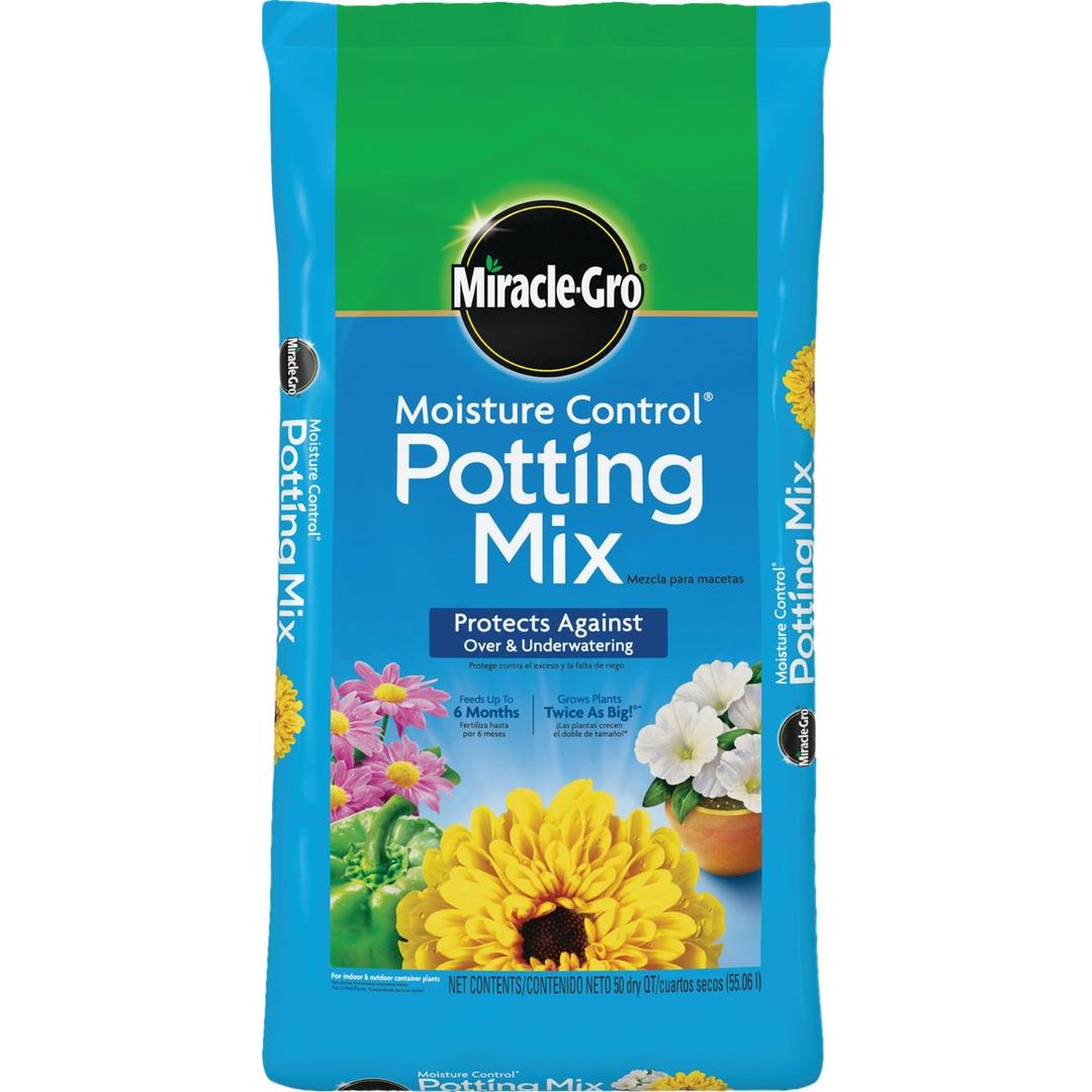 Product 747578