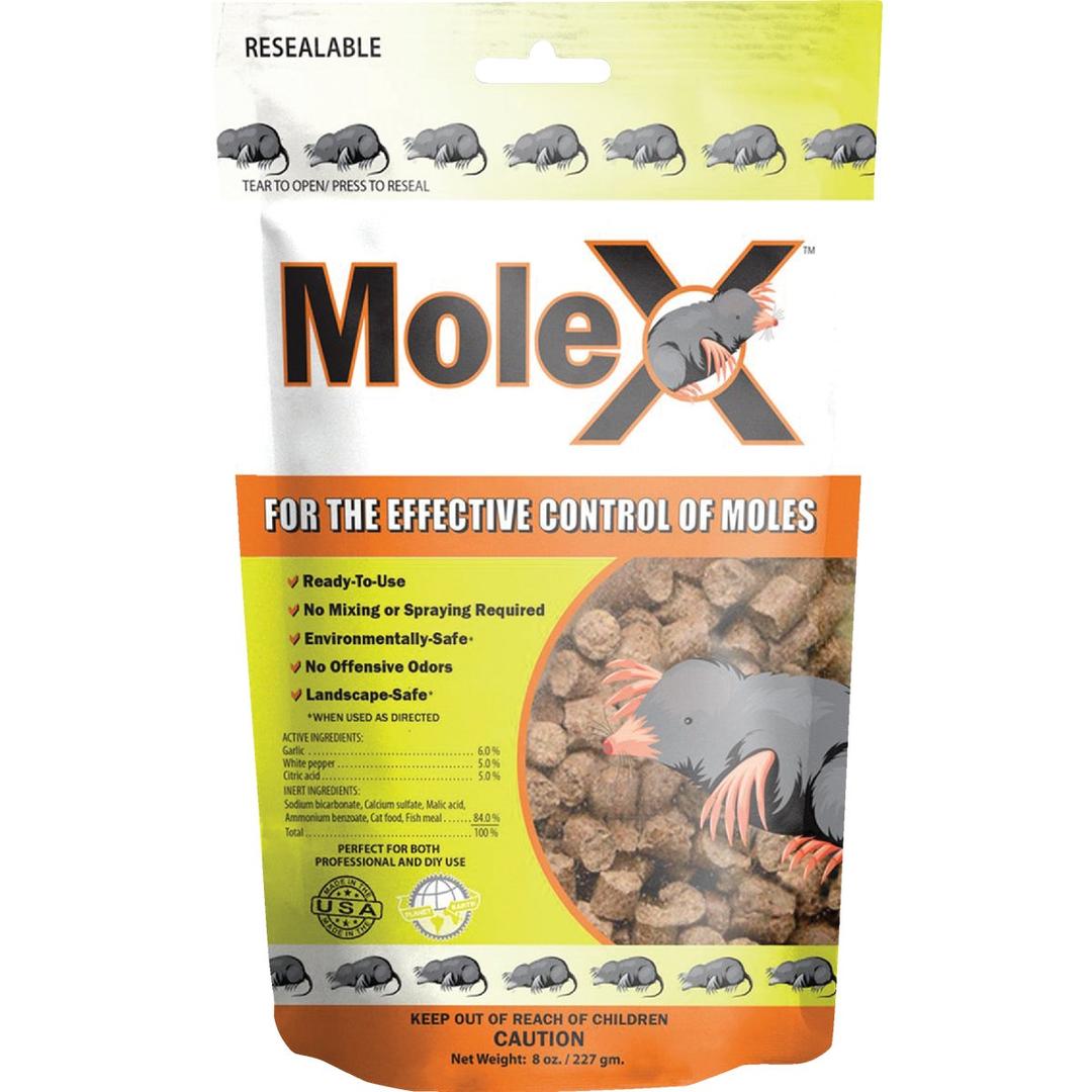Product 749063