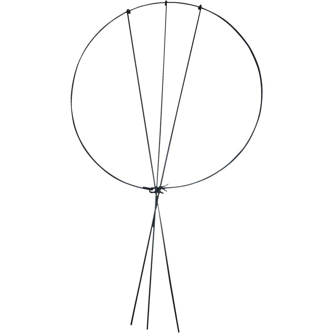 Product 761031