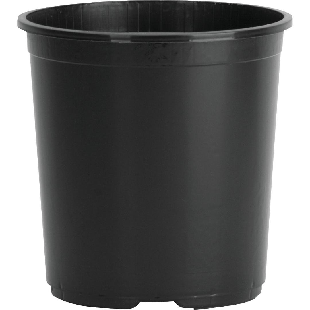 Product 768665