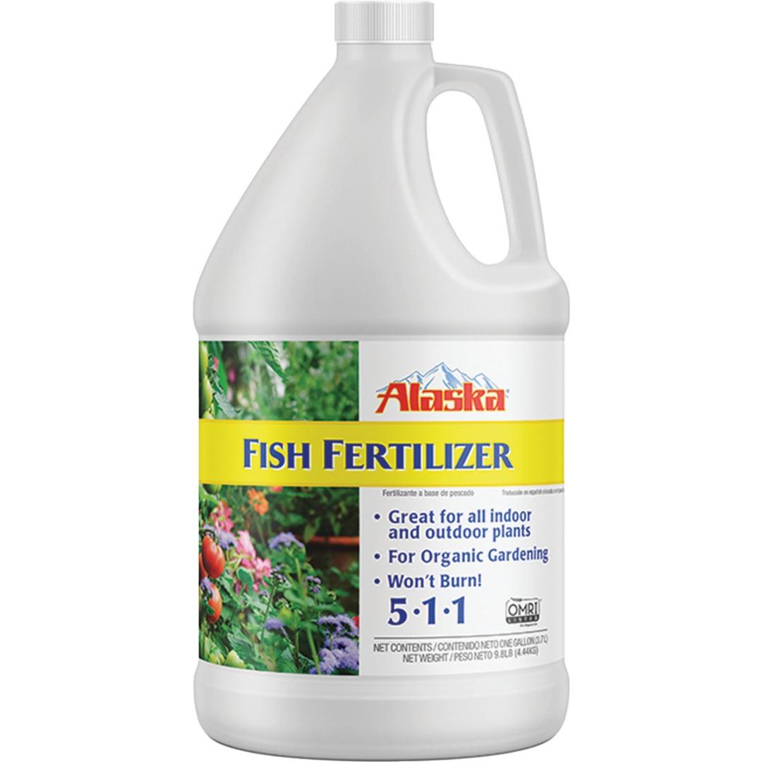 Product 768804