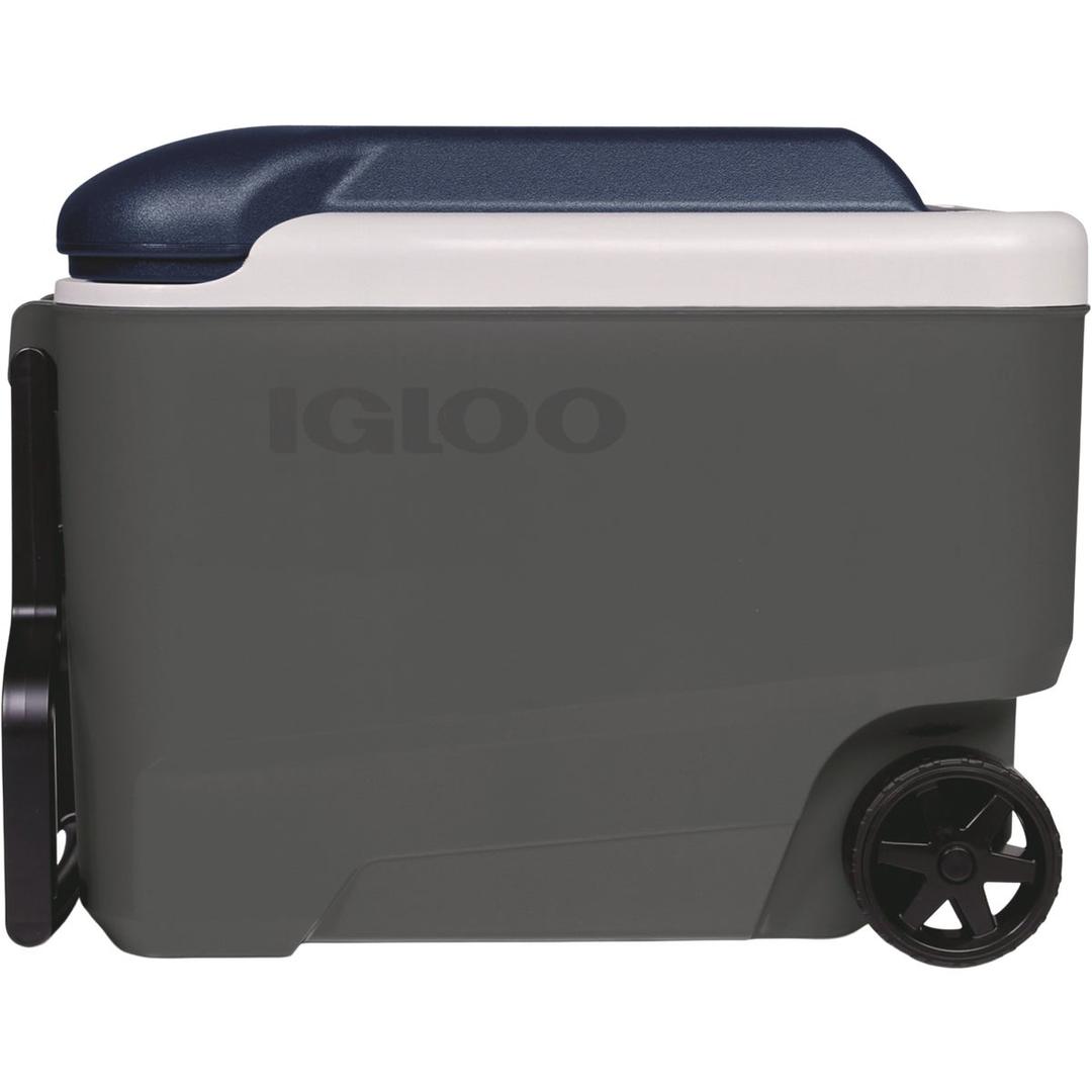 Product 802186