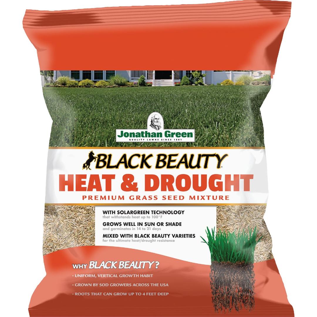 Product 736810