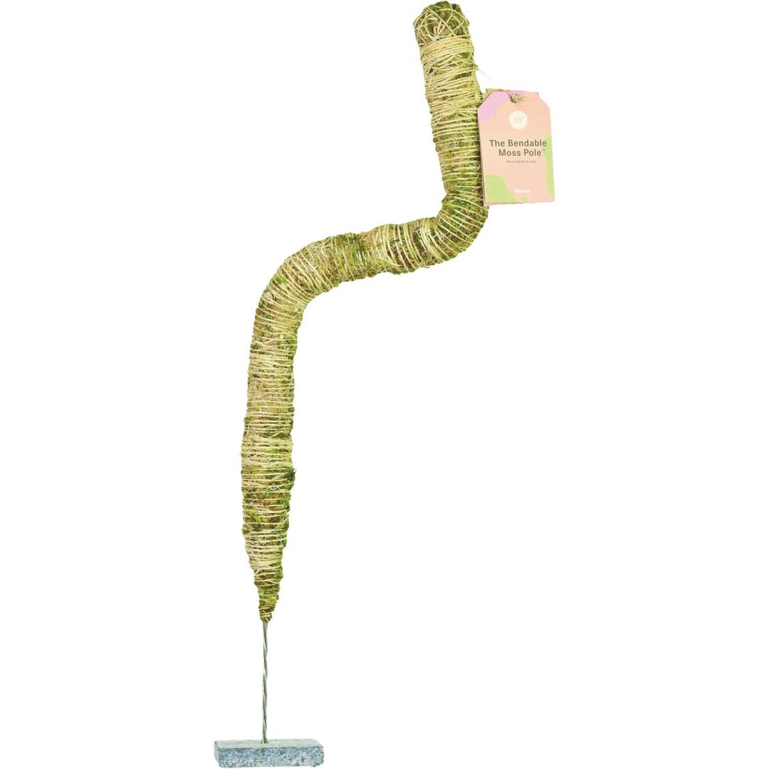 Product 727641