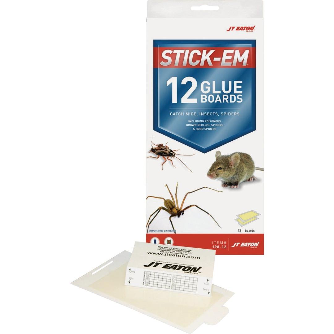 Product 753605