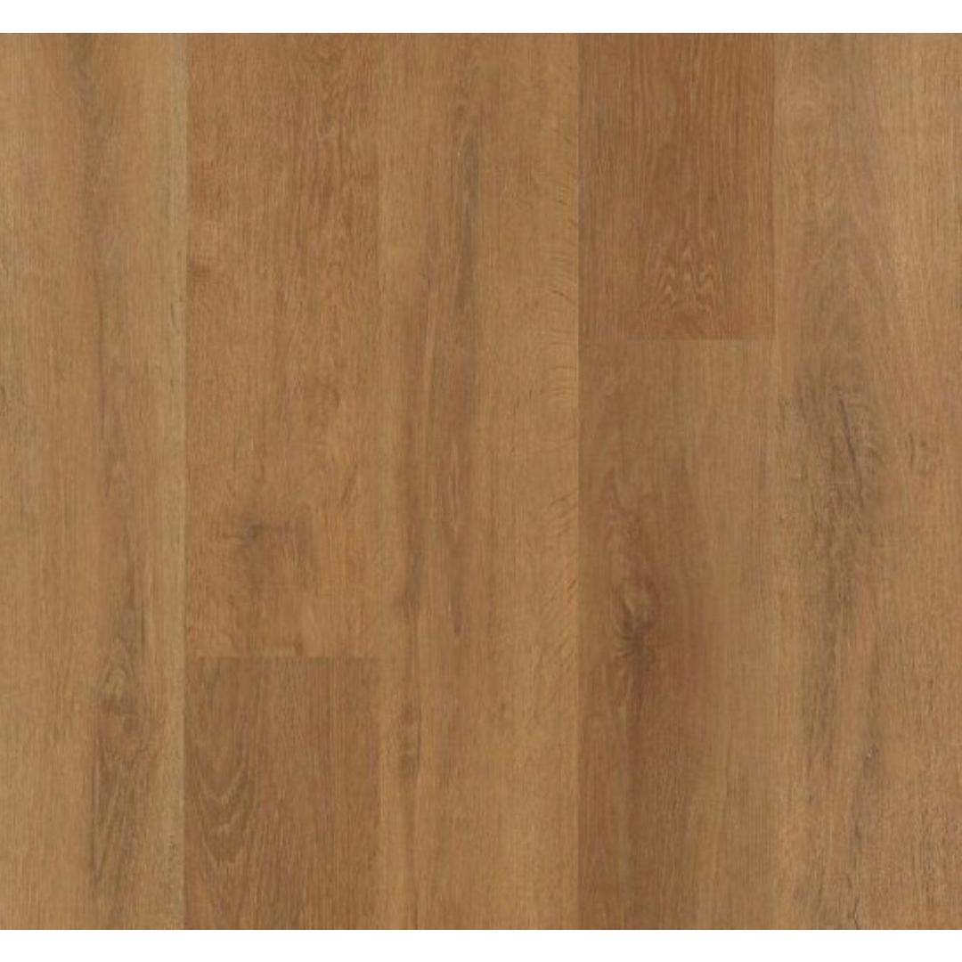 Product 281862