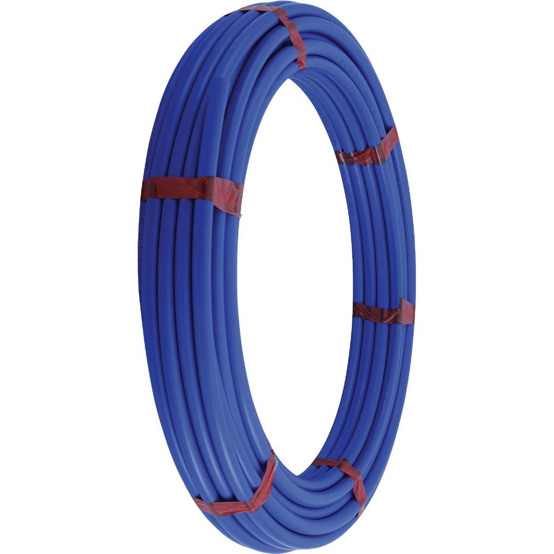 Product 491270